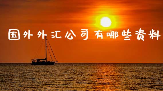 国外外汇公司有哪些资料_https://www.apanben.com_期货学院_第1张