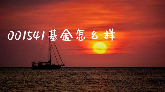 001541基金怎么样_https://www.apanben.com_国际期货_第1张