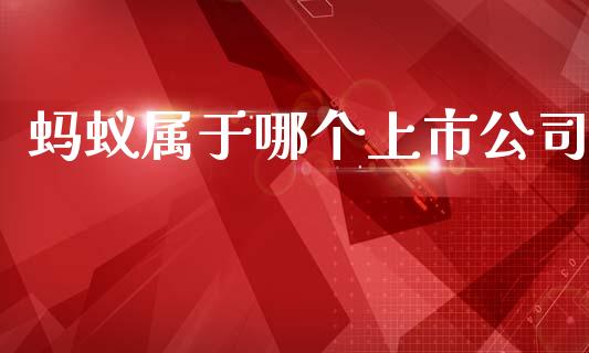 蚂蚁属于哪个上市公司_https://www.apanben.com_股票怎么玩_第1张