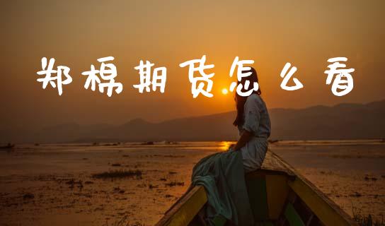 郑棉期货怎么看_https://www.apanben.com_股市指导_第1张