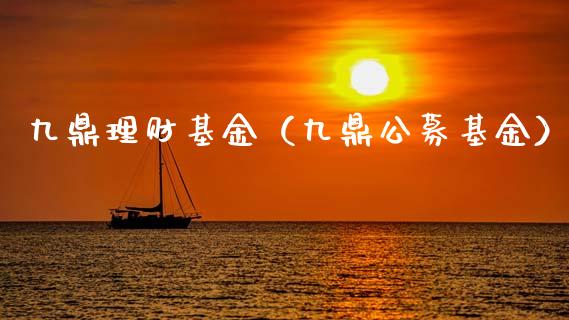 九鼎理财基金（九鼎公募基金）_https://www.apanben.com_财经资讯_第1张