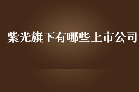 紫光旗下有哪些上市公司_https://www.apanben.com_国际财经_第1张