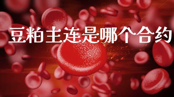 豆粕主连是哪个合约_https://www.apanben.com_期货学院_第1张