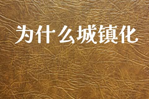 为什么城镇化_https://www.apanben.com_期货学院_第1张