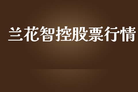 兰花智控股票行情_https://www.apanben.com_股市指导_第1张