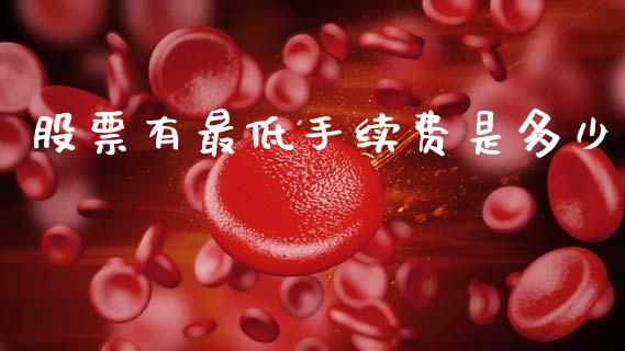 股票有最低手续费是多少_https://www.apanben.com_在线喊单_第1张