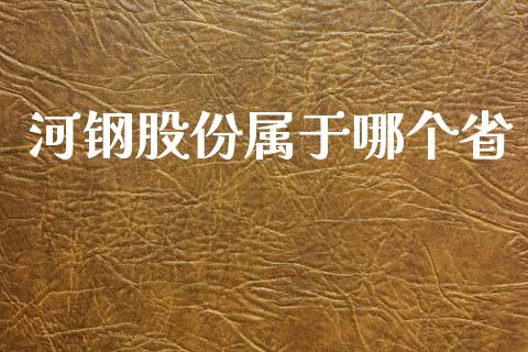 河钢股份属于哪个省_https://www.apanben.com_国际财经_第1张