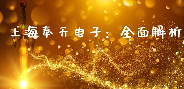 上海奉天电子：全面解析_https://www.apanben.com_财经资讯_第1张