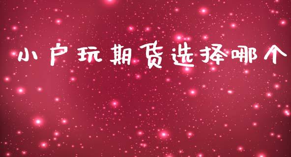 小户玩期货选择哪个_https://www.apanben.com_国际期货_第1张