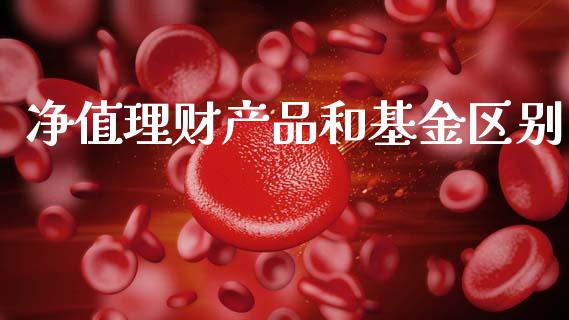 净值理财产品和基金区别_https://www.apanben.com_国际财经_第1张