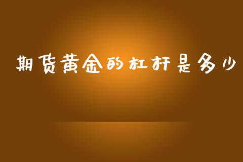 期货黄金的杠杆是多少_https://www.apanben.com_期货学院_第1张
