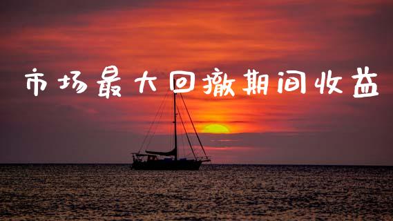 市场最大回撤期间收益_https://www.apanben.com_国际期货_第1张