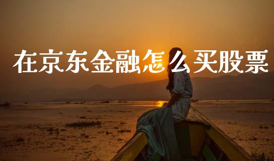 在京东金融怎么买股票_https://www.apanben.com_股市分析_第1张