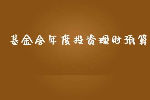 基金会年度投资理财预算_https://www.apanben.com_国际财经_第1张