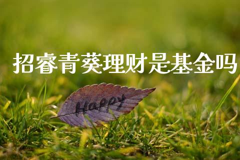 招睿青葵理财是基金吗_https://www.apanben.com_国际财经_第1张