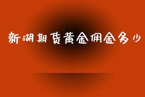 新湖期货黄金佣金多少_https://www.apanben.com_期货学院_第1张