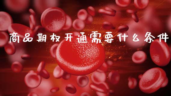 商品期权开通需要什么条件_https://www.apanben.com_股市分析_第1张