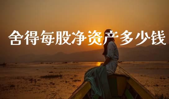 舍得每股净资产多少钱_https://www.apanben.com_国际财经_第1张