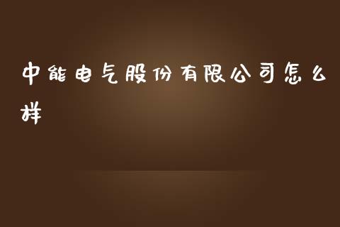 中能电气股份有限公司怎么样_https://www.apanben.com_股市指导_第1张