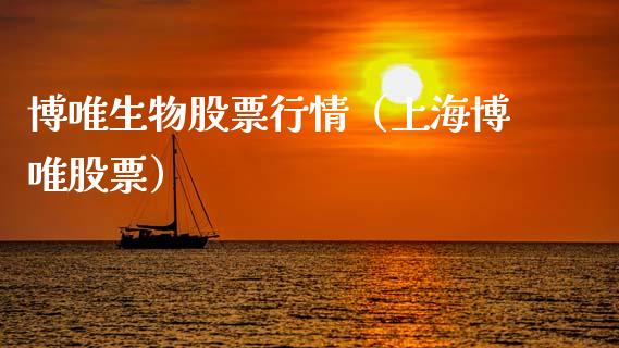 博唯生物股票行情（上海博唯股票）_https://www.apanben.com_股票怎么玩_第1张