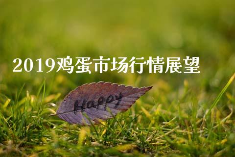 2019鸡蛋市场行情展望_https://www.apanben.com_国际期货_第1张