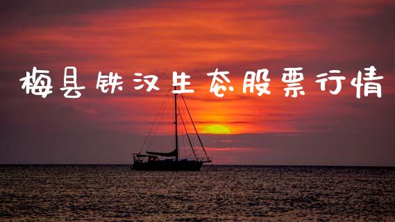 梅县铁汉生态股票行情_https://www.apanben.com_股市分析_第1张