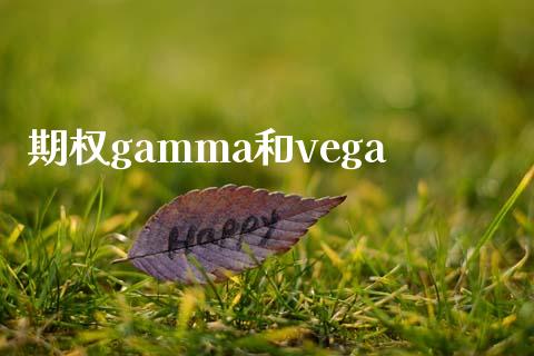 期权gamma和vega_https://www.apanben.com_财经资讯_第1张