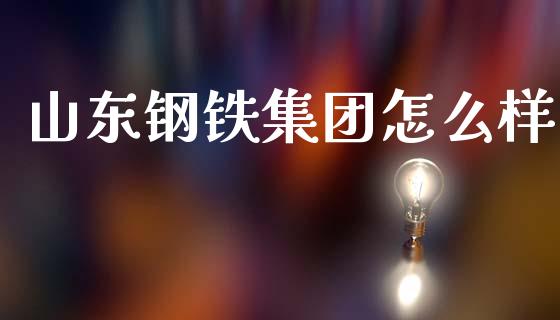 山东钢铁集团怎么样_https://www.apanben.com_股市指导_第1张
