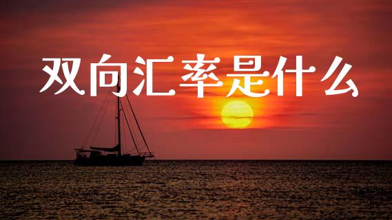 双向汇率是什么_https://www.apanben.com_国际财经_第1张