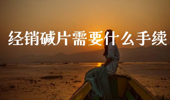经销碱片需要什么手续_https://www.apanben.com_期货学院_第1张