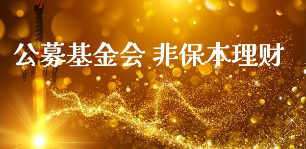 公募基金会 非保本理财_https://www.apanben.com_国际财经_第1张