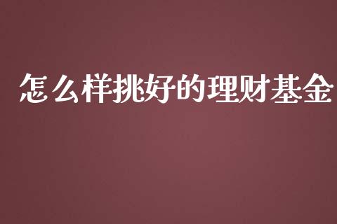 怎么样挑好的理财基金_https://www.apanben.com_国际财经_第1张