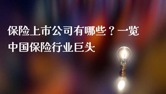 保险上市公司有哪些？一览中国保险行业巨头_https://www.apanben.com_期货学院_第1张