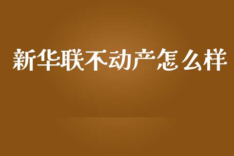 新华联不动产怎么样_https://www.apanben.com_股市分析_第1张