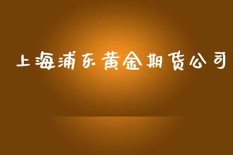 上海浦东黄金期货公司_https://www.apanben.com_国际期货_第1张