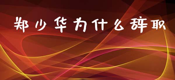 郑少华为什么辞职_https://www.apanben.com_股市分析_第1张