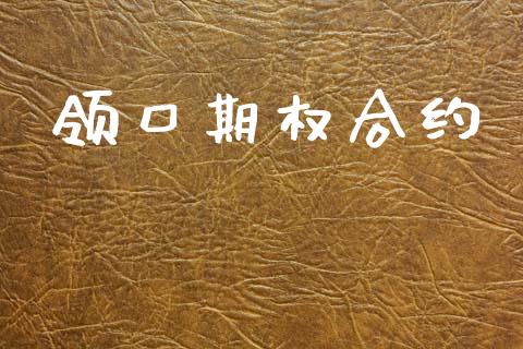 领口期权合约_https://www.apanben.com_国际期货_第1张