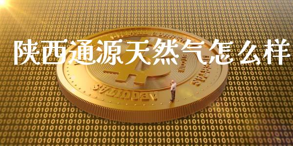 陕西通源天然气怎么样_https://www.apanben.com_期货学院_第1张