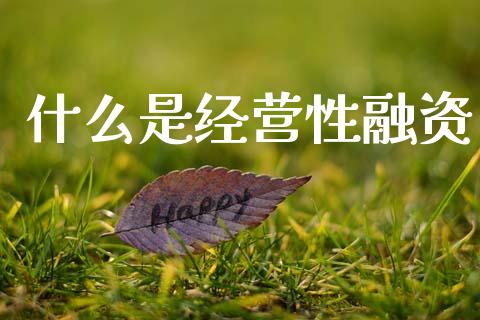 什么是经营性融资_https://www.apanben.com_国际期货_第1张