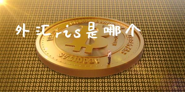 外汇ris是哪个_https://www.apanben.com_国际财经_第1张