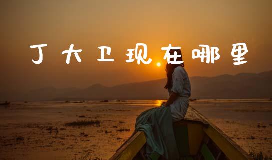 丁大卫现在哪里_https://www.apanben.com_期货学院_第1张