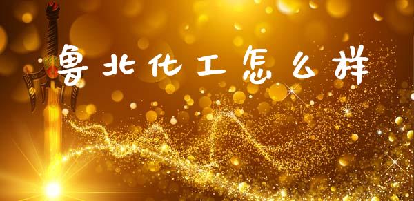 鲁北化工怎么样_https://www.apanben.com_股市指导_第1张