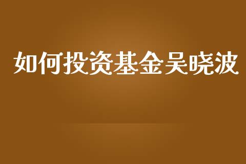 如何投资基金吴晓波_https://www.apanben.com_国际财经_第1张