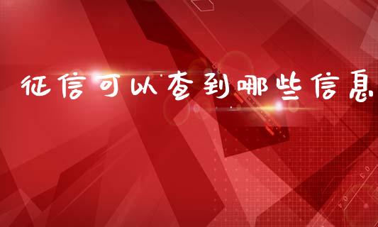 征信可以查到哪些信息_https://www.apanben.com_财经资讯_第1张