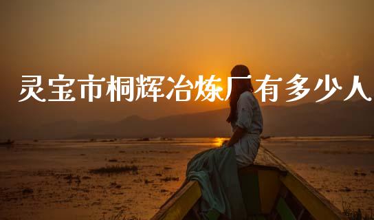 灵宝市桐辉冶炼厂有多少人_https://www.apanben.com_国际期货_第1张