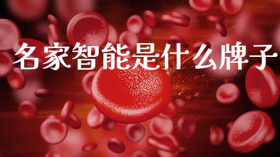 名家智能是什么牌子_https://www.apanben.com_股市指导_第1张