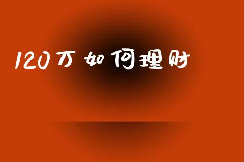 120万如何理财_https://www.apanben.com_期货学院_第1张