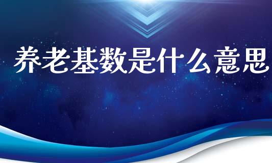 养老基数是什么意思_https://www.apanben.com_国际期货_第1张