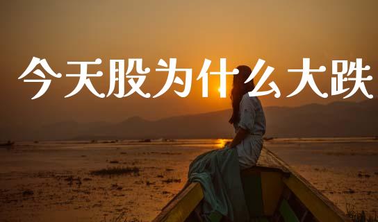 今天股为什么大跌_https://www.apanben.com_期货学院_第1张