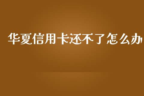 华夏信用卡还不了怎么办_https://www.apanben.com_国际财经_第1张